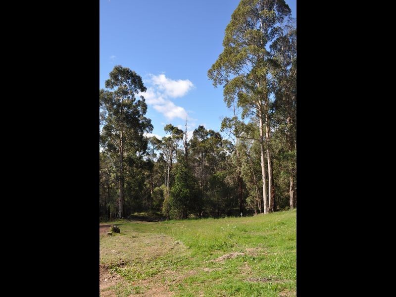 Lot 12 Brockman Street, Pemberton WA 6260
