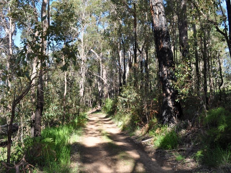 Lot 12 Brockman Street, Pemberton WA 6260