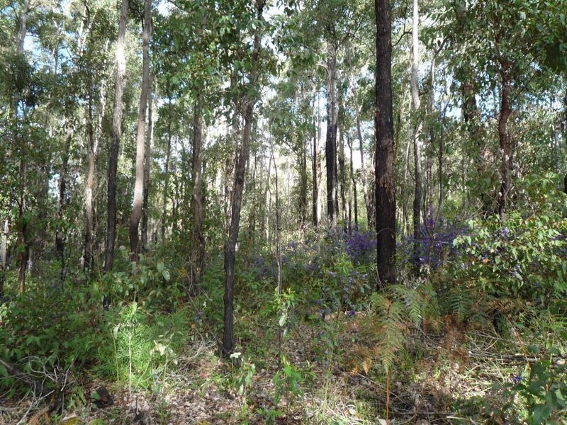 Lot 52 Karri Lane, Quinninup WA 6258