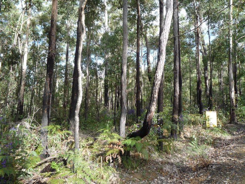 Lot 52 Karri Lane, Quinninup WA 6258