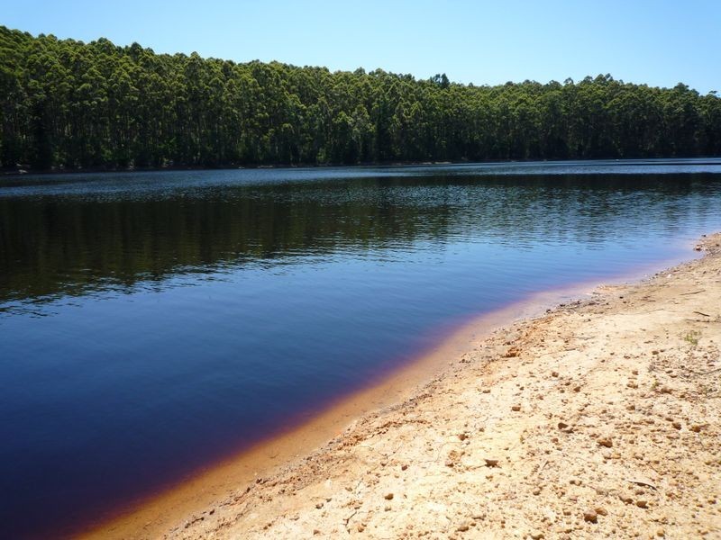 Lot 52 Karri Lane, Quinninup WA 6258