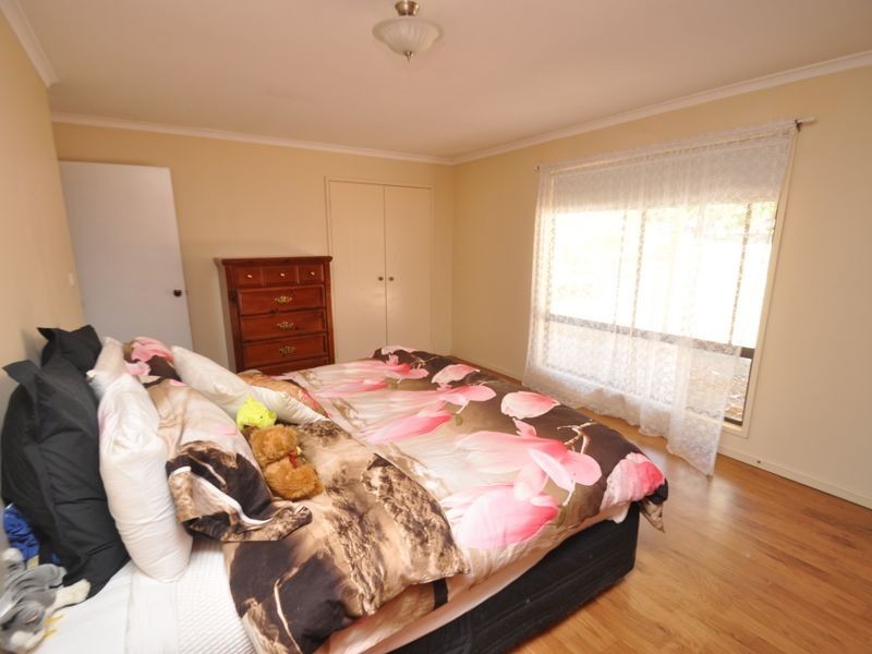 14 Caniroglen Court, Manjimup WA 6258