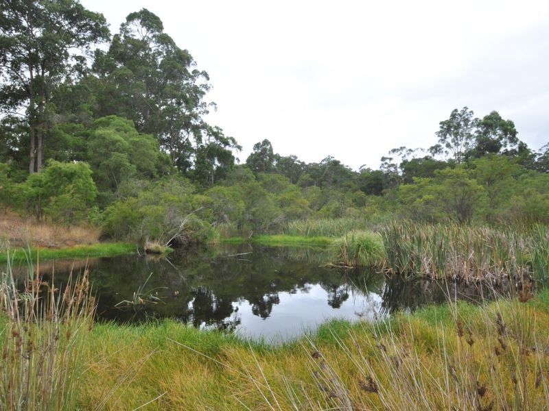 Lot 10878 Wetherall Rd, Pemberton WA 6260