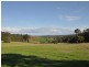 Lot 10878 Wetherall Rd, Pemberton WA 6260
