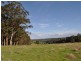 Lot 10878 Wetherall Rd, Pemberton WA 6260