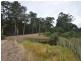 Lot 10878 Wetherall Rd, Pemberton WA 6260