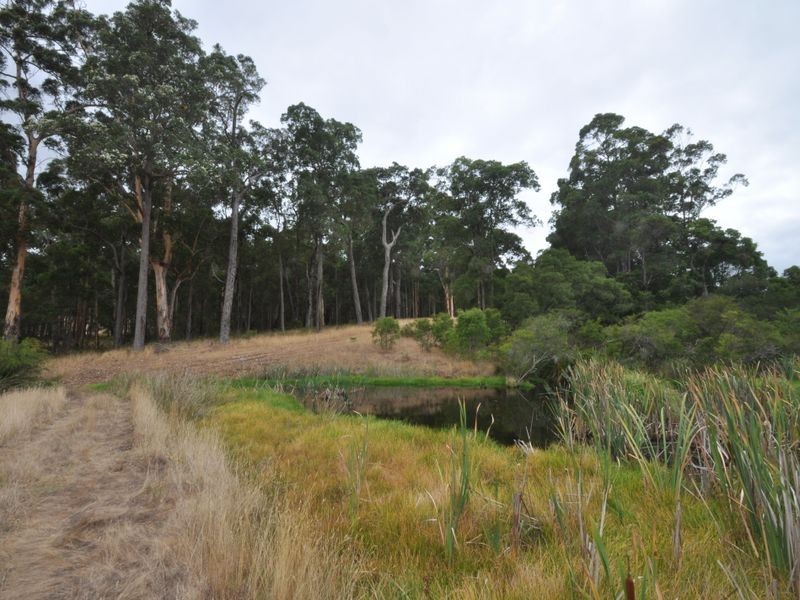 Lot 10878 Wetherall Rd, Pemberton WA 6260