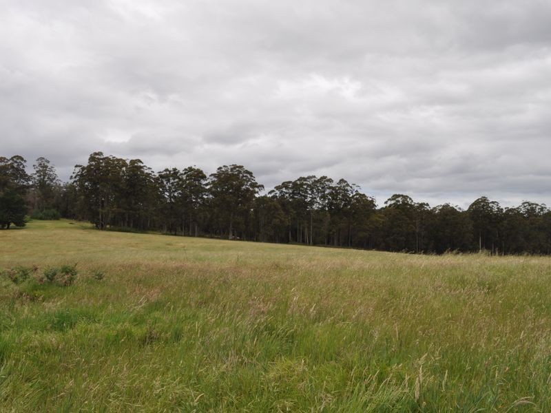 Lot 10878 Wetherall Rd, Pemberton WA 6260