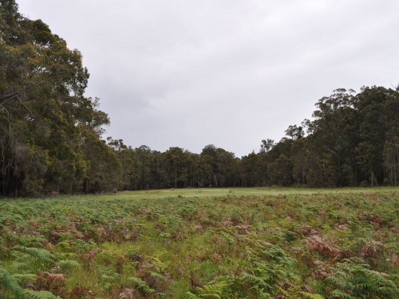 Lot 10878 Wetherall Rd, Pemberton WA 6260