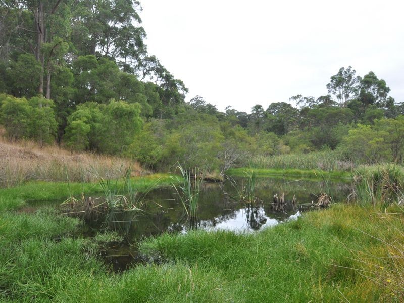 Lot 10878 Wetherall Rd, Pemberton WA 6260