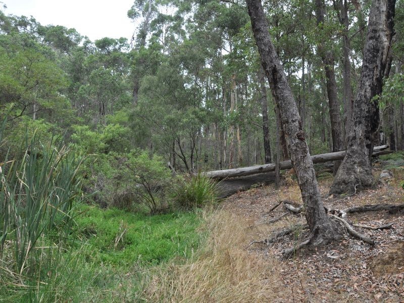Lot 10878 Wetherall Rd, Pemberton WA 6260