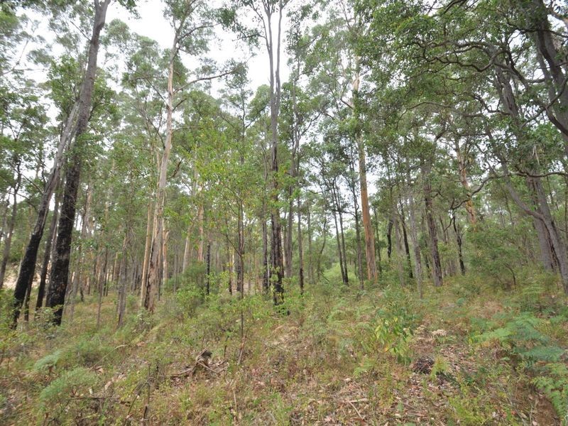 Lot 10878 Wetherall Rd, Pemberton WA 6260
