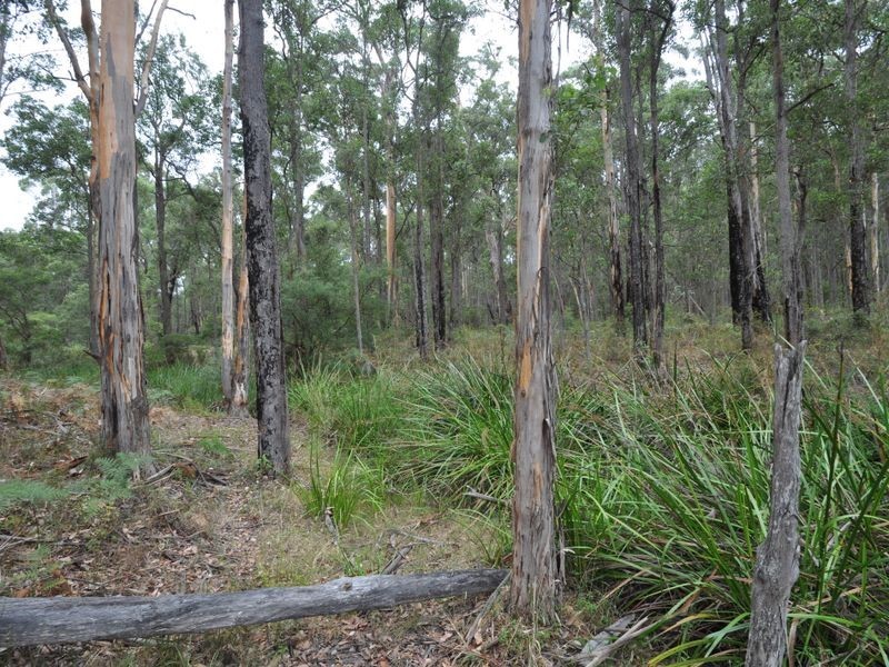 Lot 10878 Wetherall Rd, Pemberton WA 6260