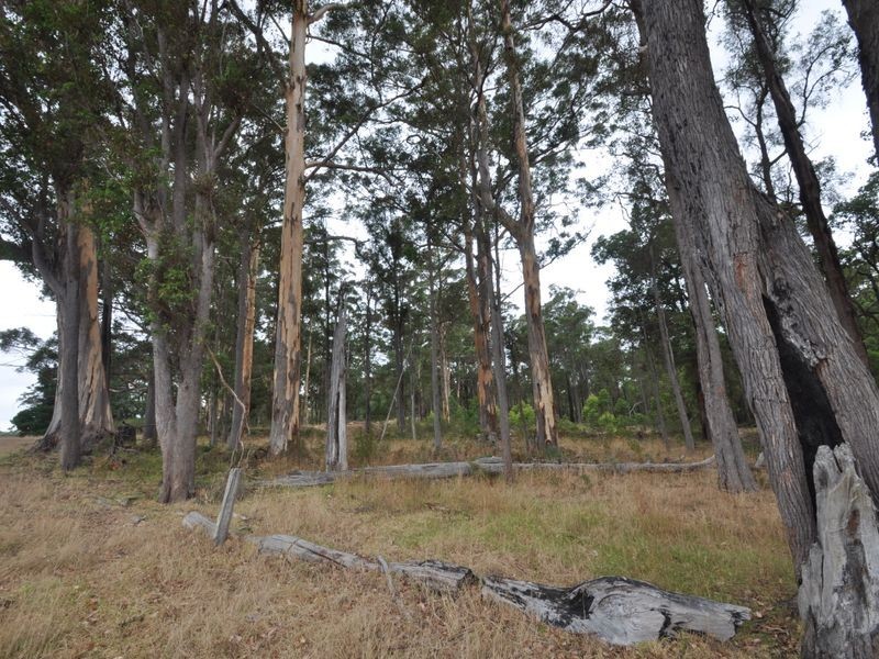 Lot 10878 Wetherall Rd, Pemberton WA 6260