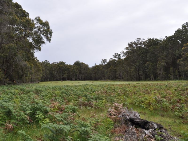 Lot 10878 Wetherall Rd, Pemberton WA 6260