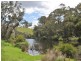 Lot 101 South Western Highway, Pemberton WA 6260