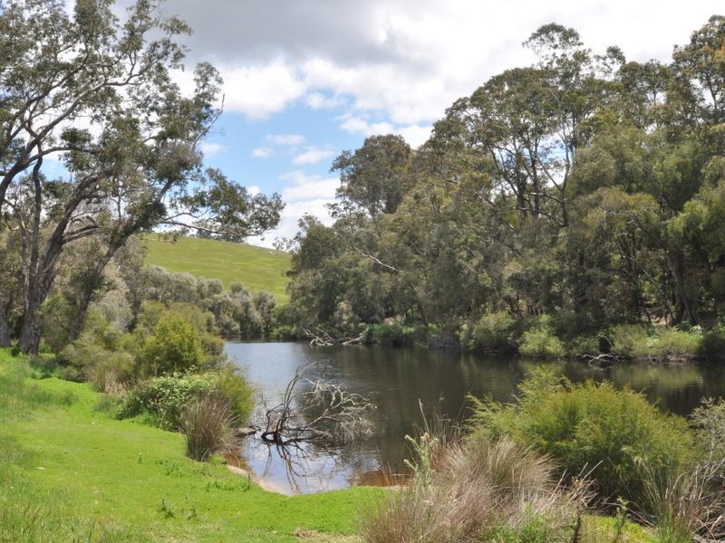 Lot 101 South Western Highway, Pemberton WA 6260