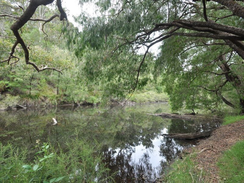 Lot 101 South Western Highway, Pemberton WA 6260