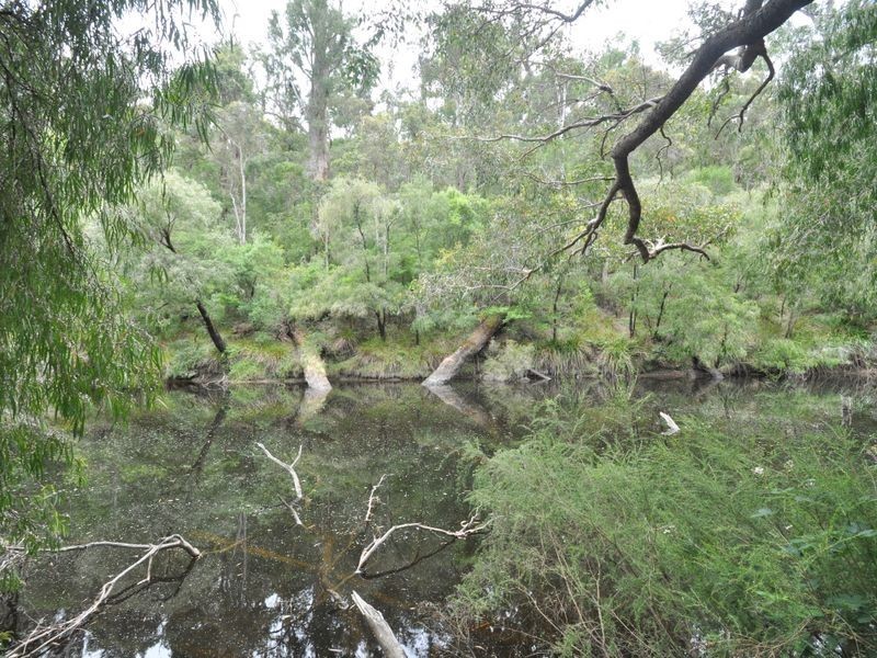Lot 101 South Western Highway, Pemberton WA 6260