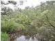 Lot 101 South Western Highway, Pemberton WA 6260