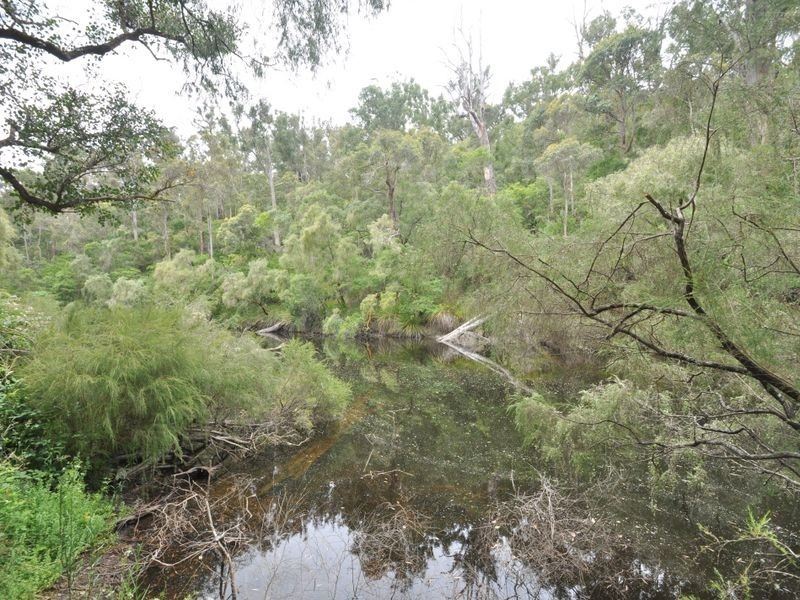 Lot 101 South Western Highway, Pemberton WA 6260