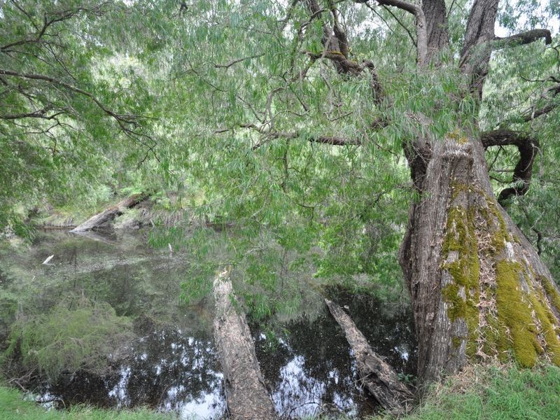 Lot 101 South Western Highway, Pemberton WA 6260