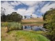 Lot 101 South Western Highway, Pemberton WA 6260