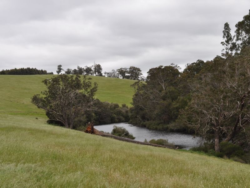 Lot 101 South Western Highway, Pemberton WA 6260