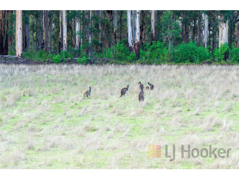 107 Burma Road, Pemberton WA 6260