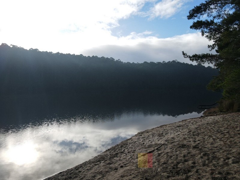 1196 Wheatley Coast Road, Quinninup WA 6258