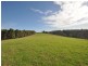 Lot 5056 Wetherall Rd, Pemberton WA 6260