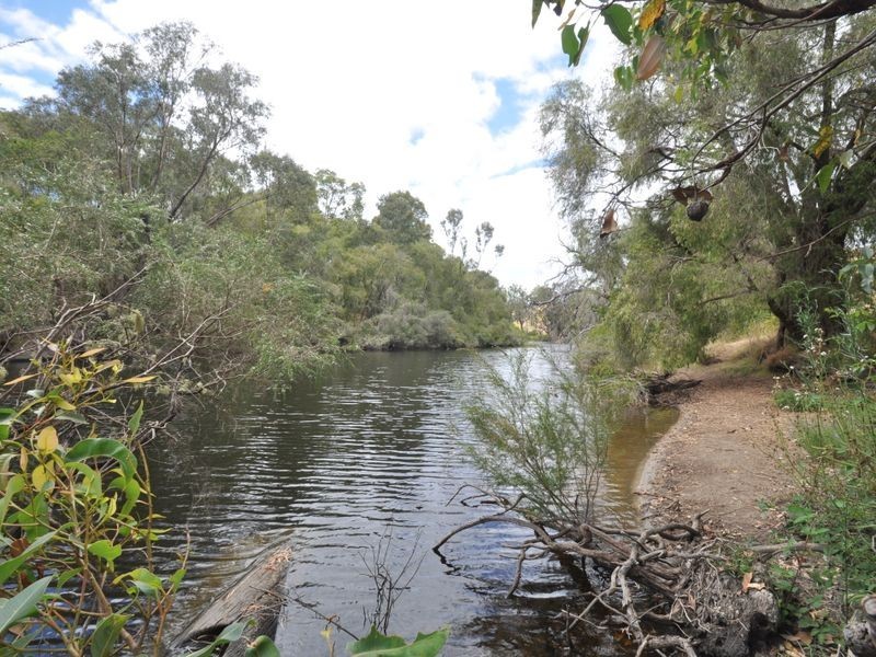 Lot 5056 Wetherall Rd, Pemberton WA 6260