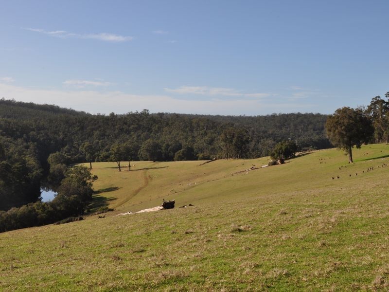 Lot 5056 Wetherall Rd, Pemberton WA 6260