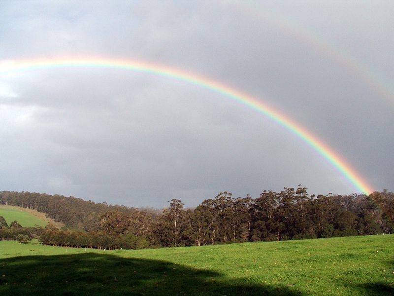 345 Glauders Road, Pemberton WA 6260