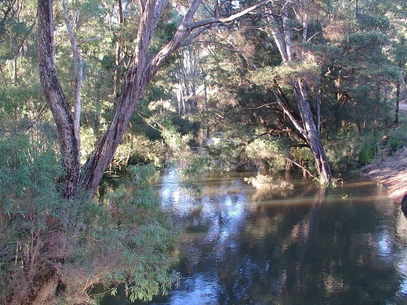 345 Glauders Road, Pemberton WA 6260