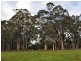 Lot 8918 Tattenham Road, Northcliffe WA 6262