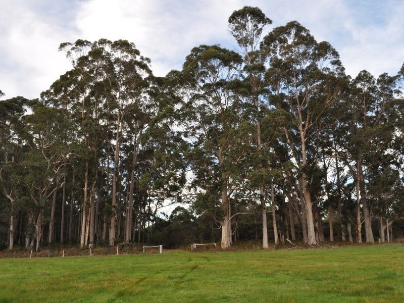 Lot 8918 Tattenham Road, Northcliffe WA 6262