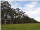 Lot 8918 Tattenham Road, Northcliffe WA 6262