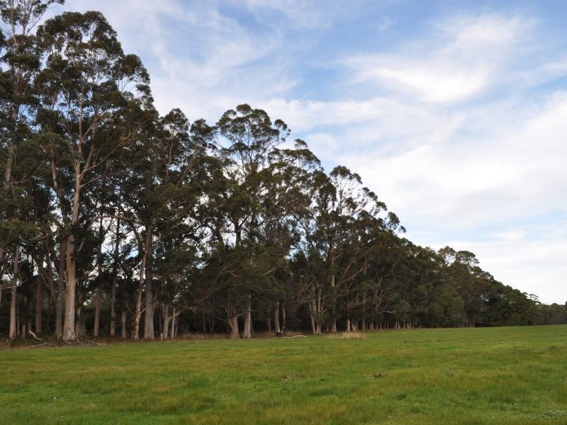 Lot 8918 Tattenham Road, Northcliffe WA 6262