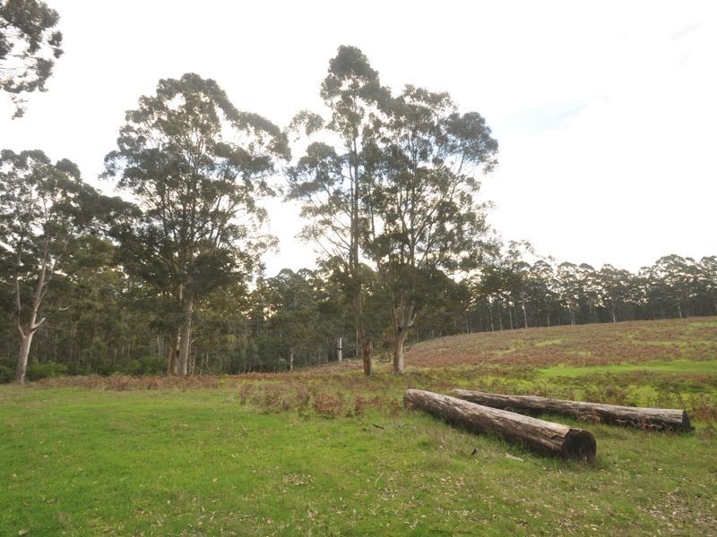 Lot 8918 Tattenham Road, Northcliffe WA 6262