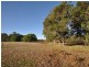 Lot 8918 Tattenham Road, Northcliffe WA 6262