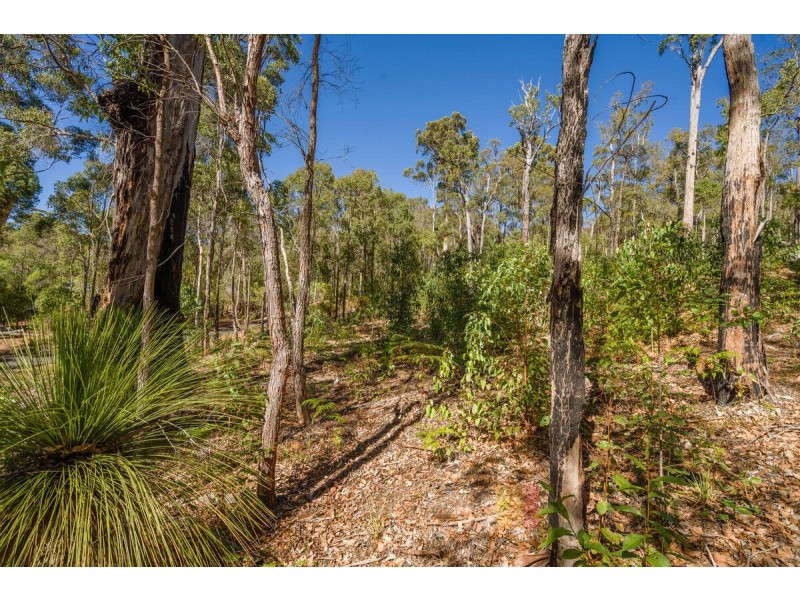 Lot 59/ Karri Lane, Quinninup WA 6258