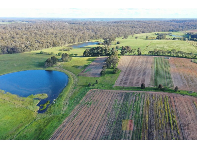 29406 South Western Highway (Diamond Tree), Manjimup WA 6258