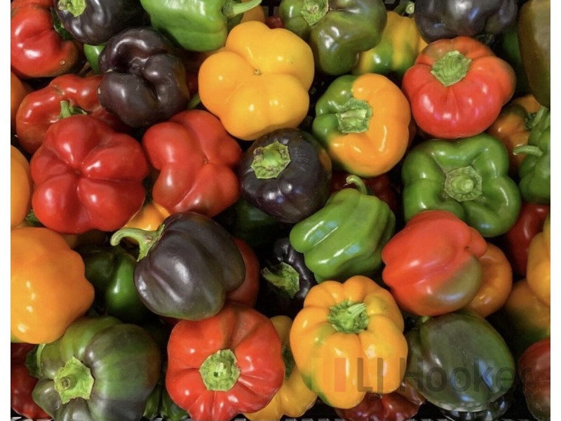 29406 South Western Highway (Diamond Tree), Manjimup WA 6258