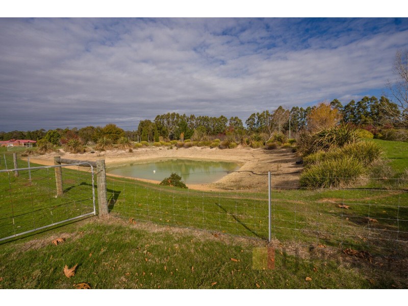 214 Browns Road, Pemberton WA 6260