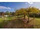 214 Browns Road, Pemberton WA 6260