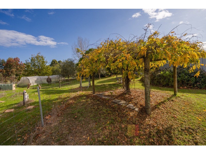 214 Browns Road, Pemberton WA 6260