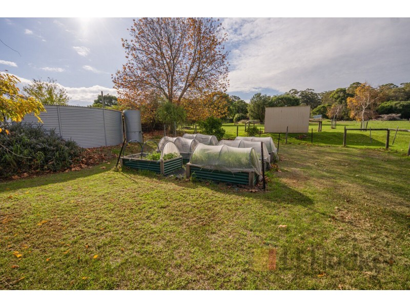 214 Browns Road, Pemberton WA 6260