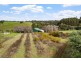151 Pump Hill Road (Channybearup), Pemberton WA 6260