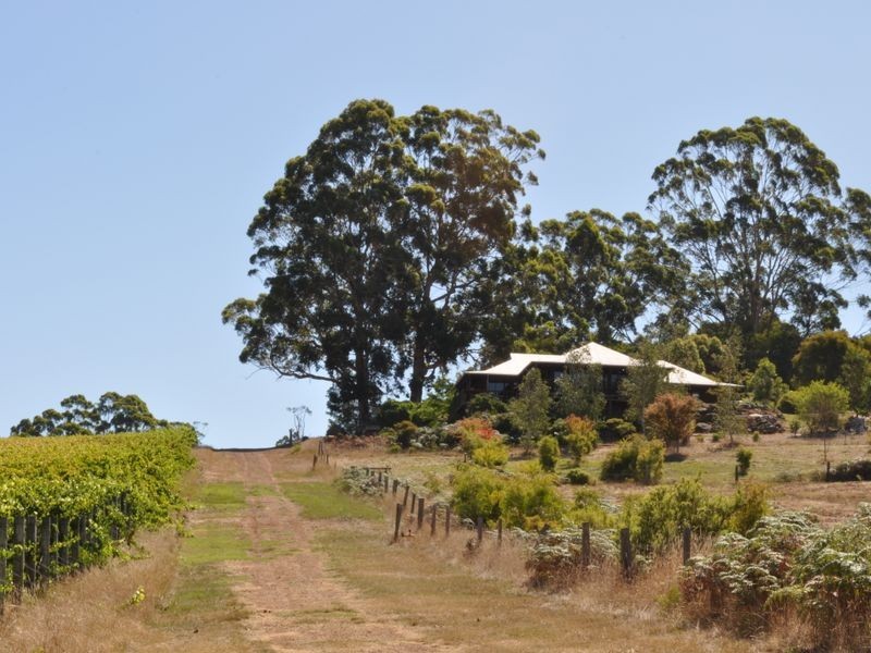 89 Charlie Road (‘Merum Vineyard’), Pemberton WA 6260
